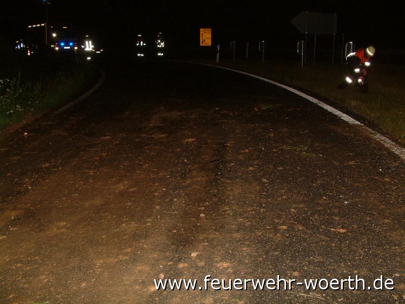 2012.06.17 VU B469 Abfahrt Wörth 011.JPG